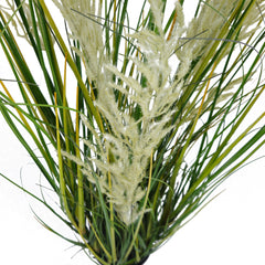 Pianta Pampa Cortadeira 110 cm