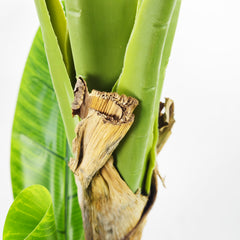 Pianta Artificiale Banano per interno ed esterno