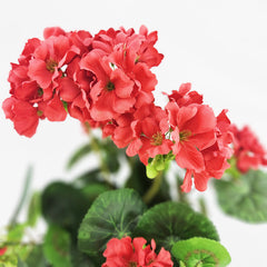 Pianta artificiale Geranio 35 cm con vaso