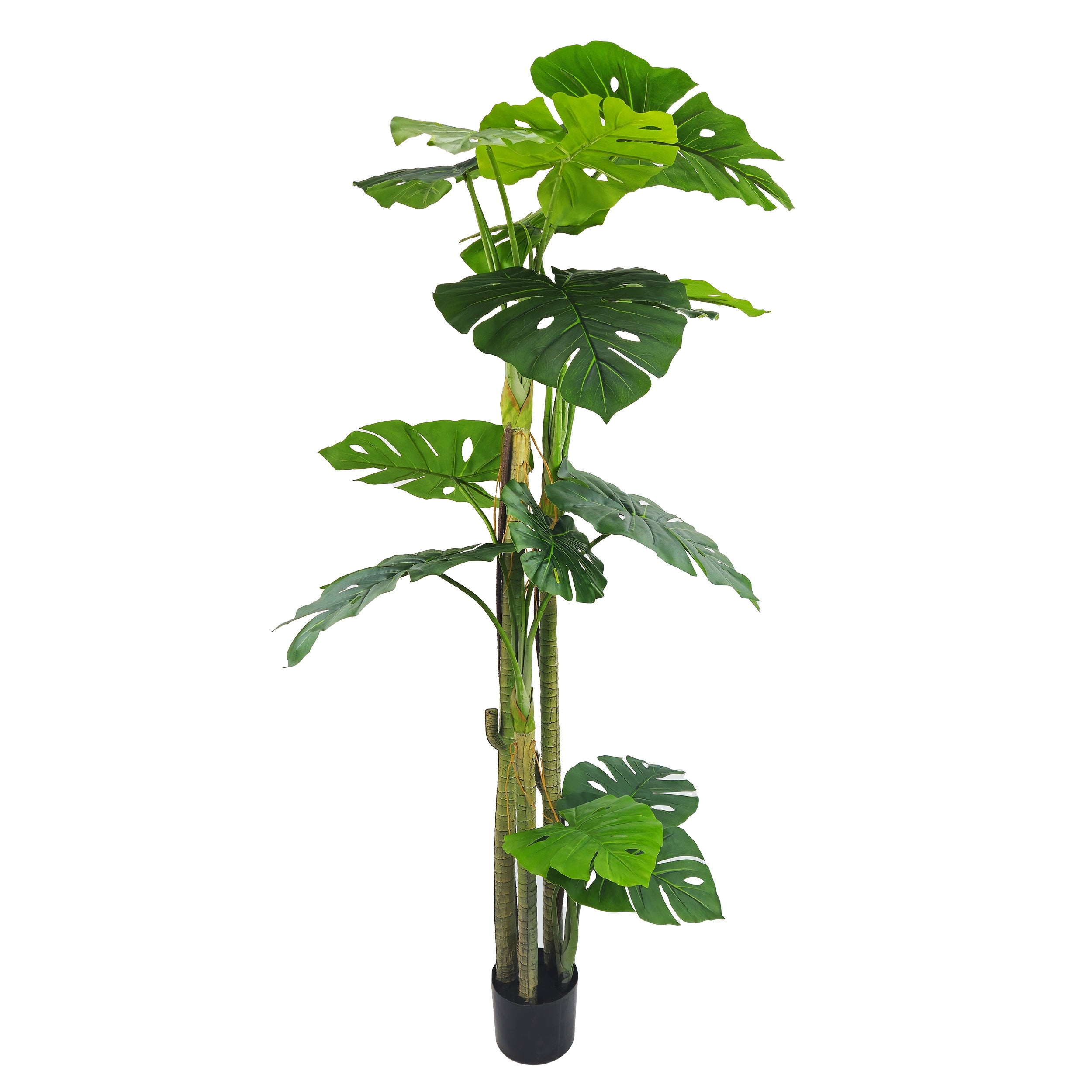 Pianta artificiale Filodendro cm 170