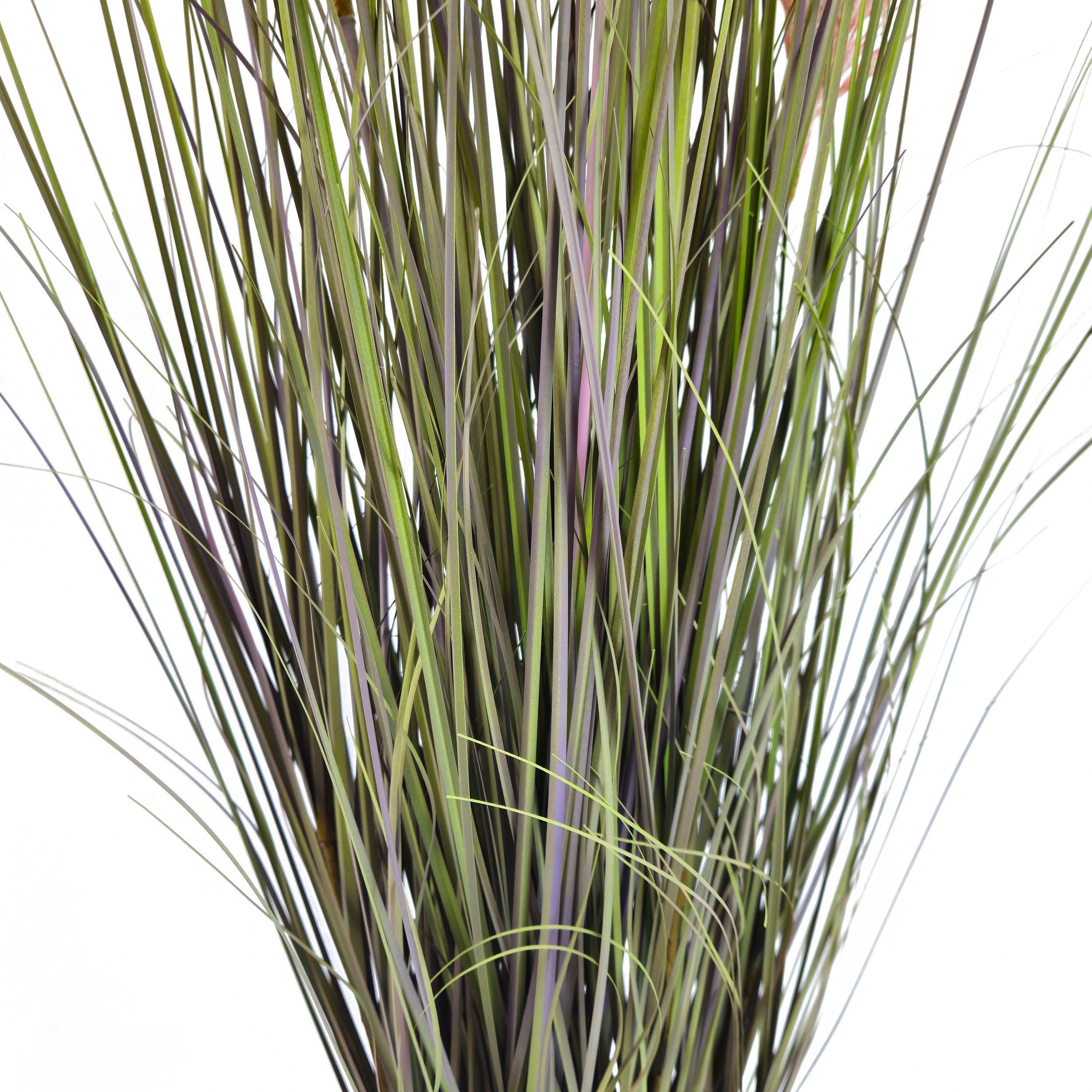 Pianta artificiale Pampa cortaderia 120 cm