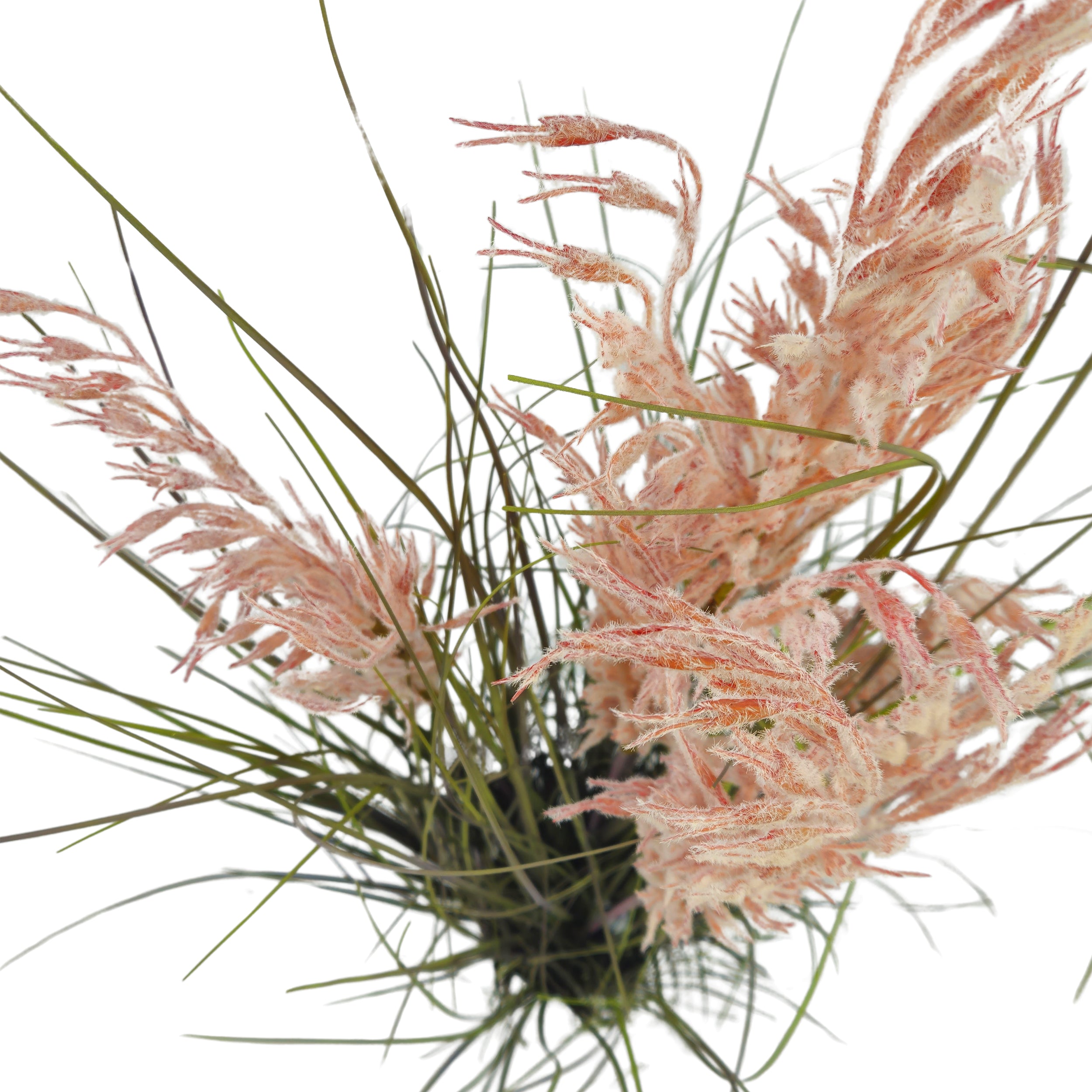 Pianta artificiale Pampa cortaderia 120 cm