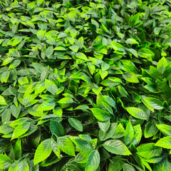 Pannello verde verticale 100x100 cm