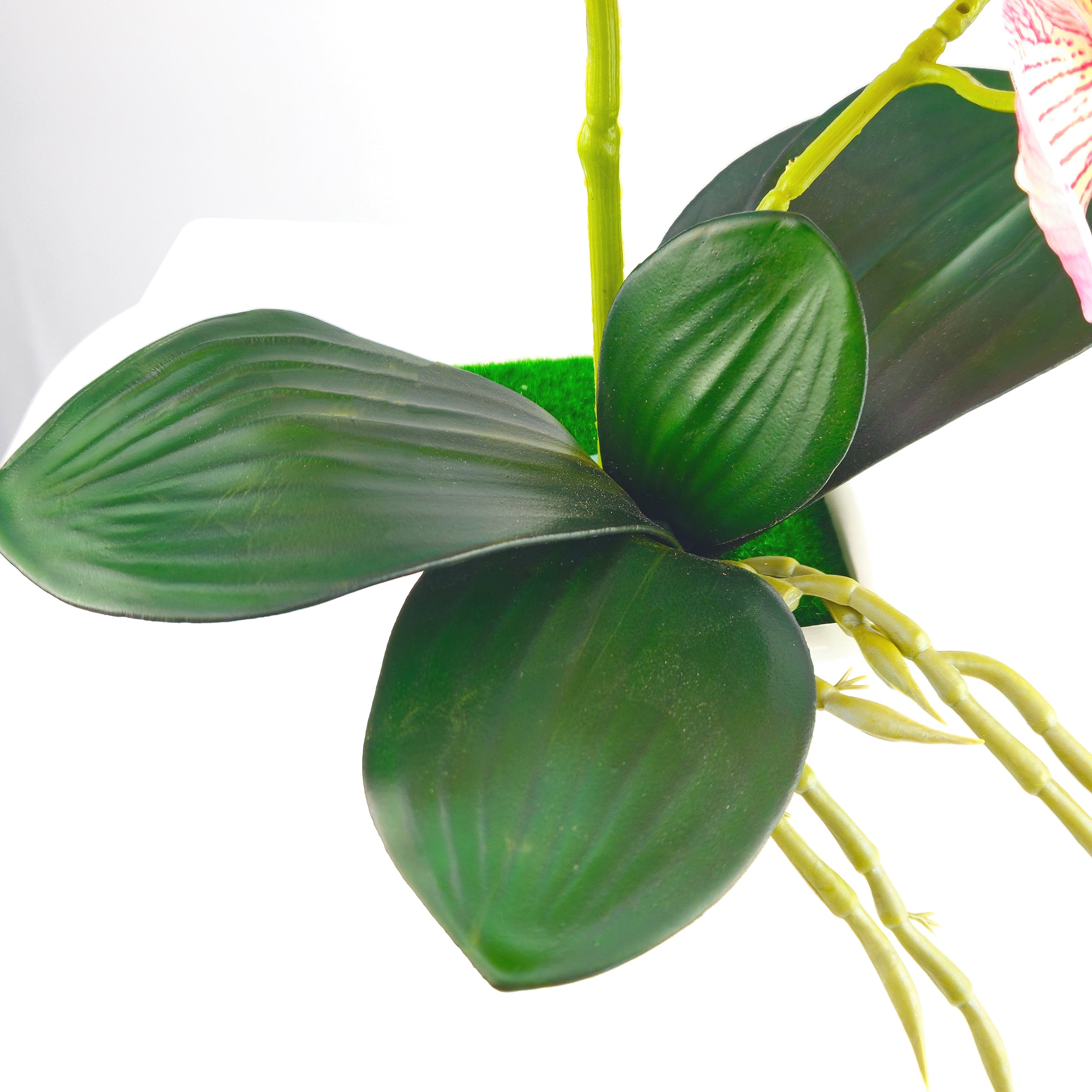 Orchidea artificiale cm 30 con vaso in ceramica