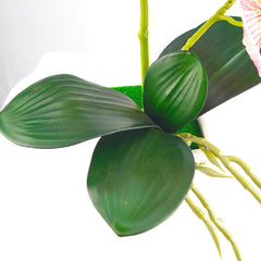 Orchidea artificiale cm 30 con vaso in ceramica