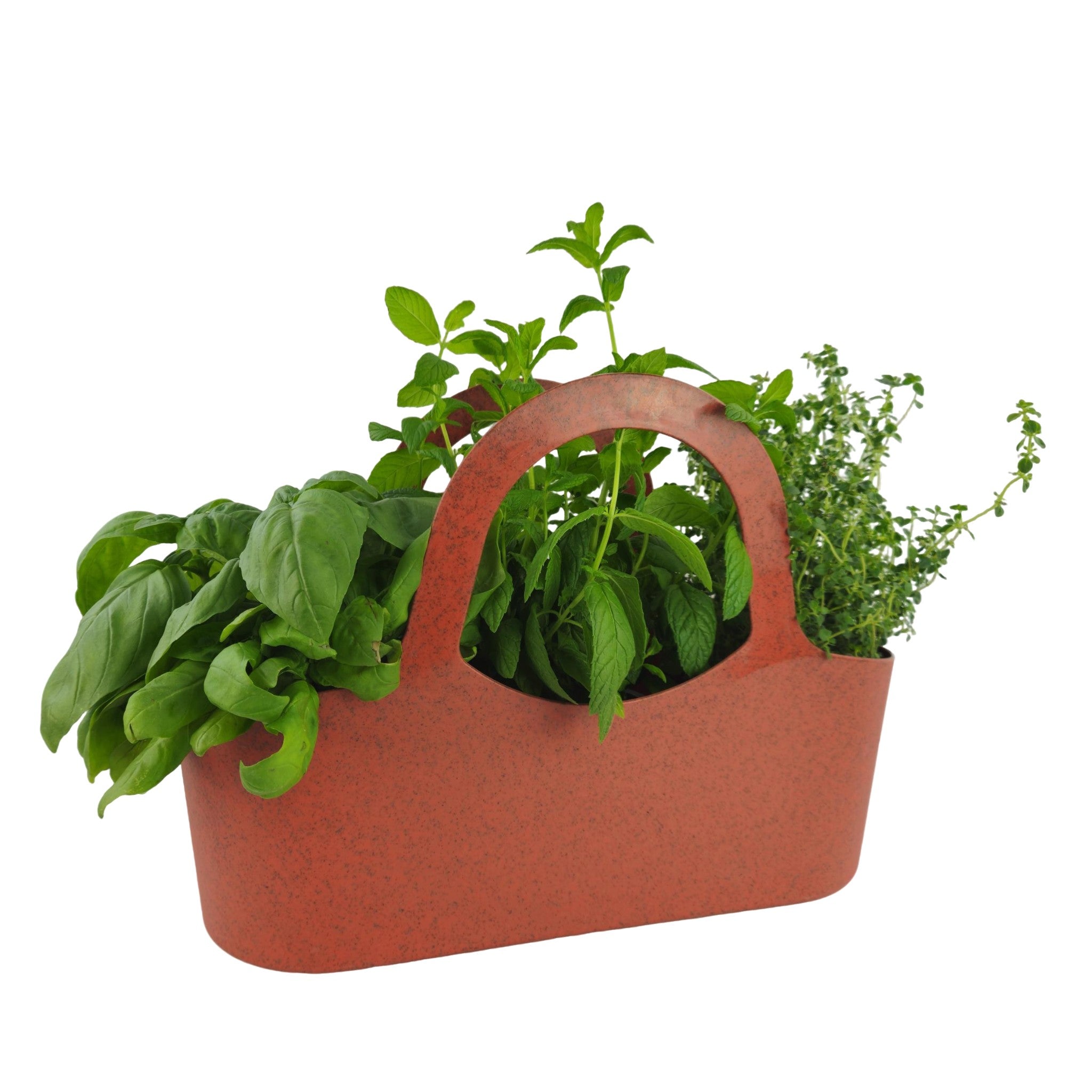 Tera Borsa porta piante aromatiche cm 41x18x31