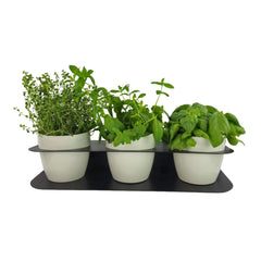 Porta piante aromatiche in metallo cm 58x18x10 da bancone e muro vasi inclusi