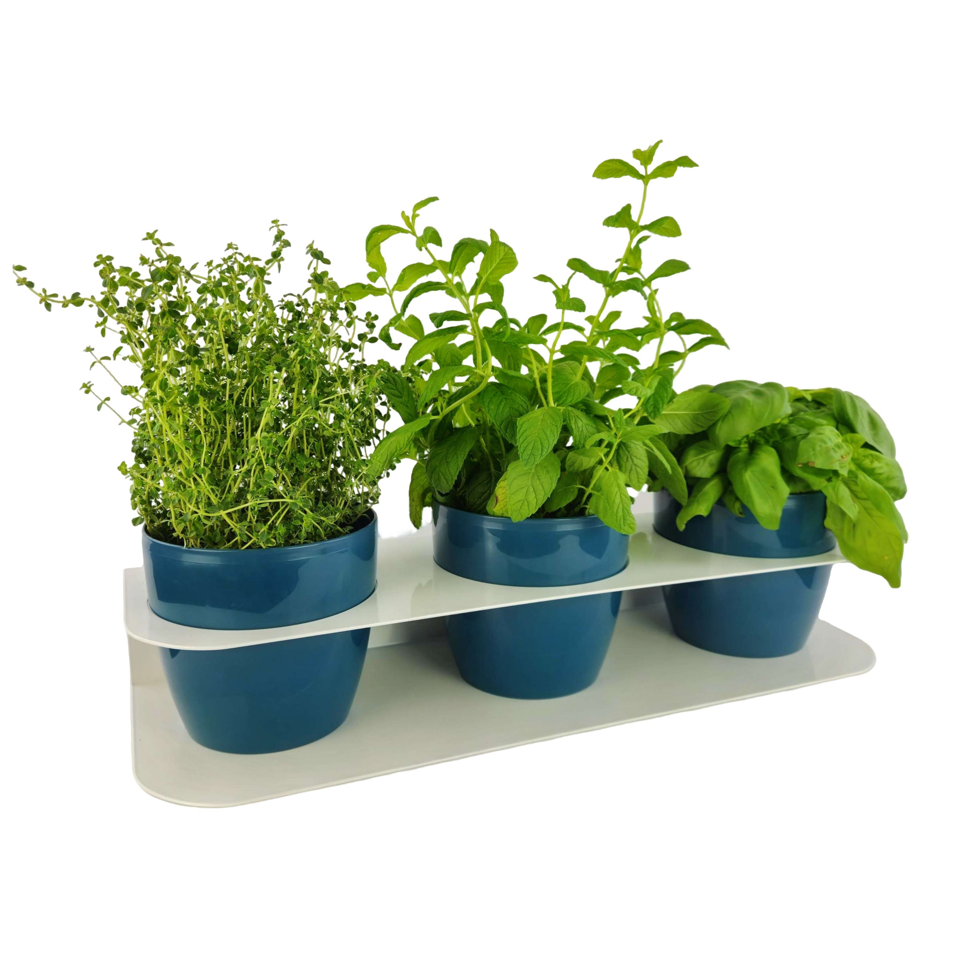 Porta piante aromatiche in metallo cm 58x18x10 da bancone e muro vasi inclusi