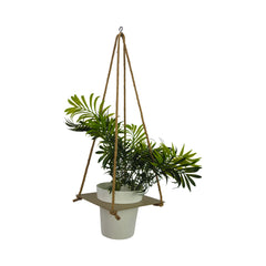 Tecnokit Porta vasi sospesi con vaso cm 16 incluso