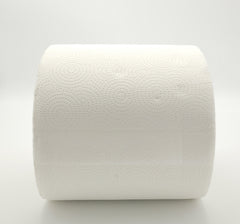 Rotoloni carta da cucina asciugatutto 2 rotoli 2000 strappi totali