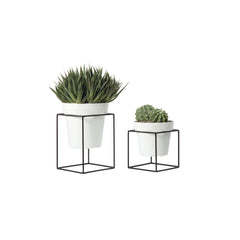 Nicoli set 4 Pezzi alzatina con vaso