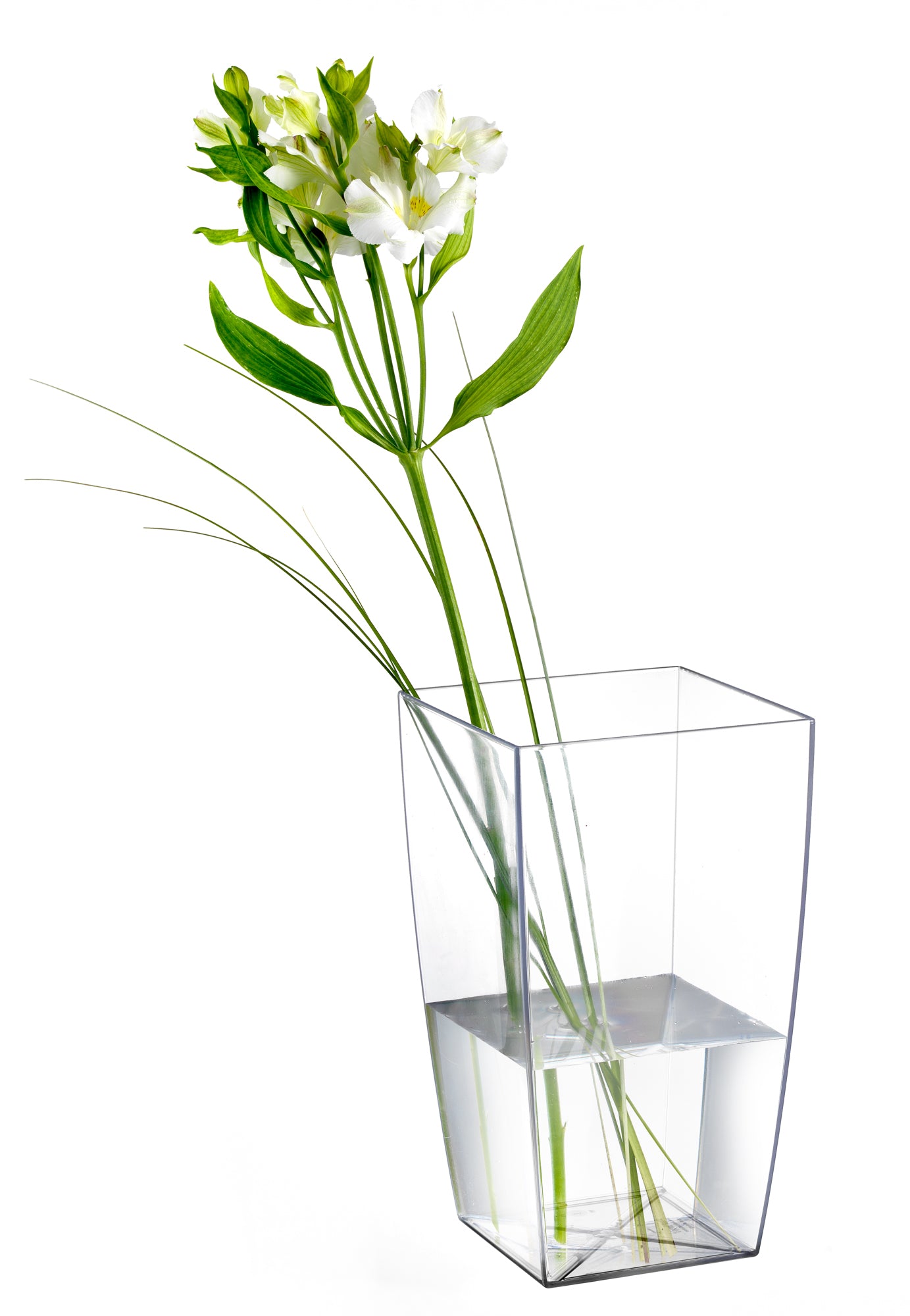 vasi per fiori trasparenti
