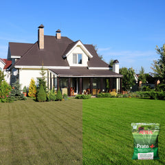 Altea concime per prato Prato + sacco da 5 kg