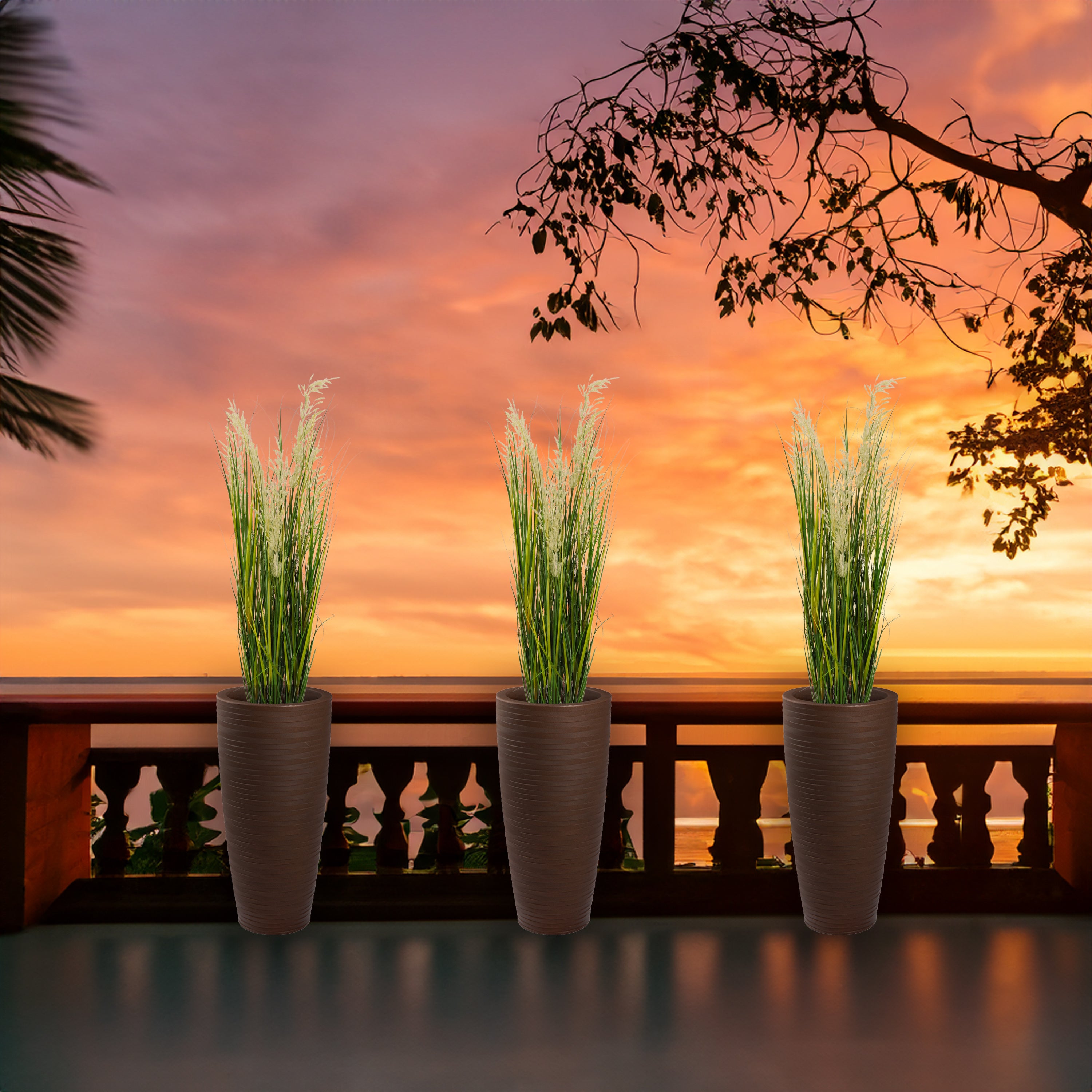 Pianta Pampa Cortadeira 110 cm