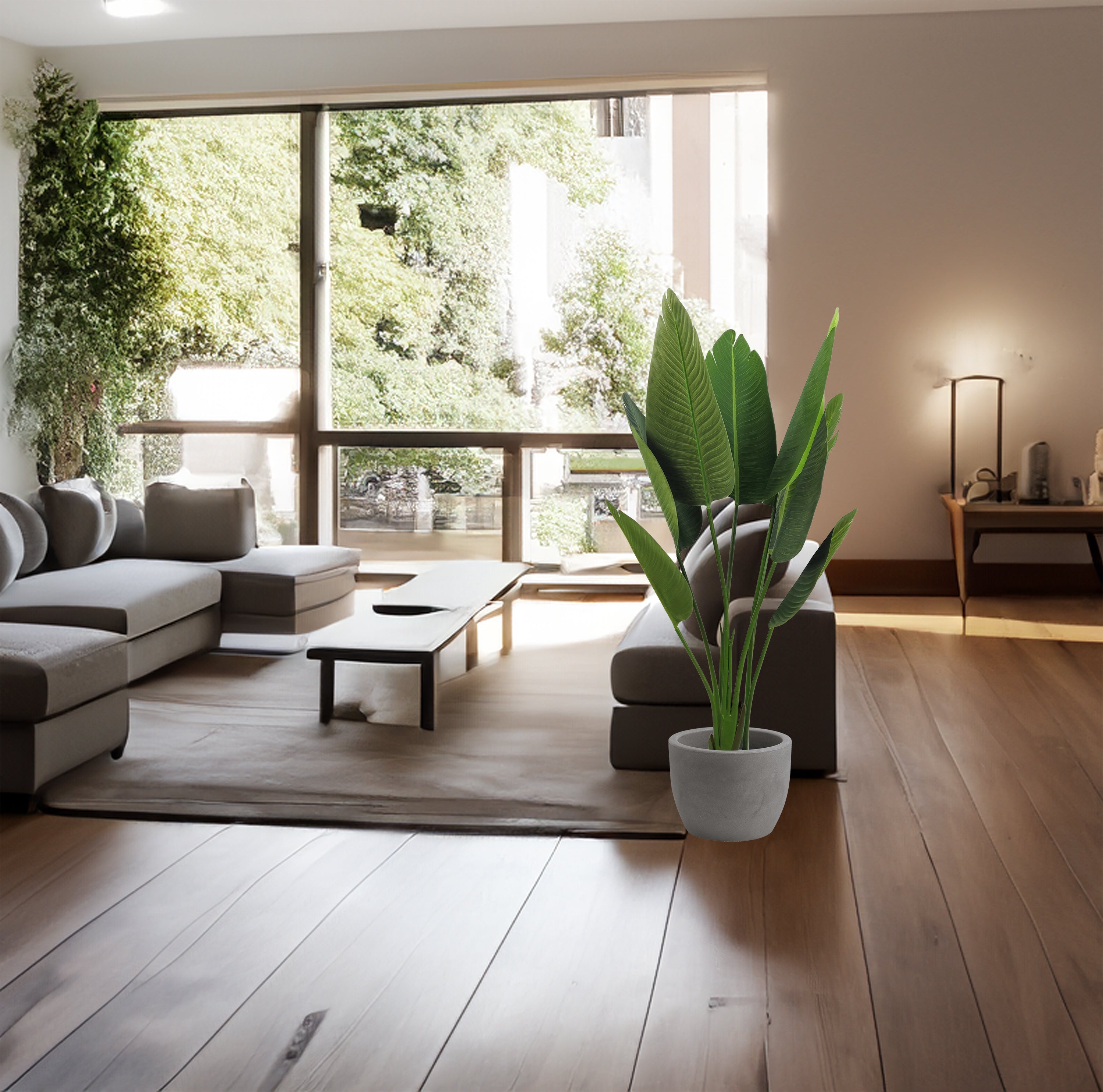 Pianta Strelizia 120 cm