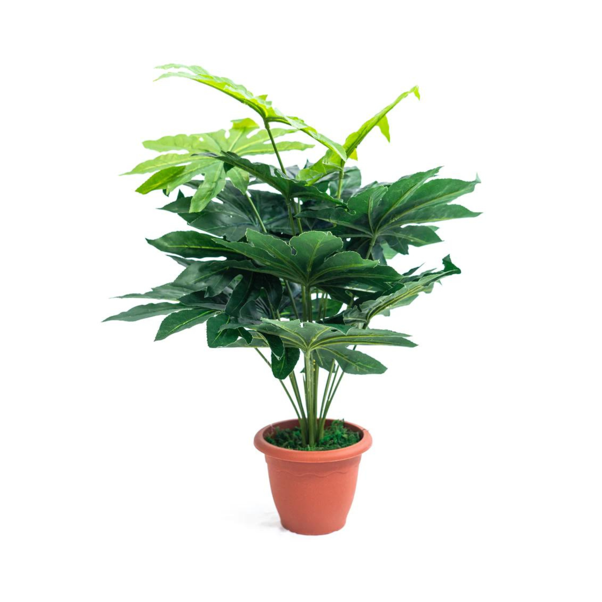 Pianta verde artificiale per interno Dieffenbachia, Filodendro, Palma, Aralia