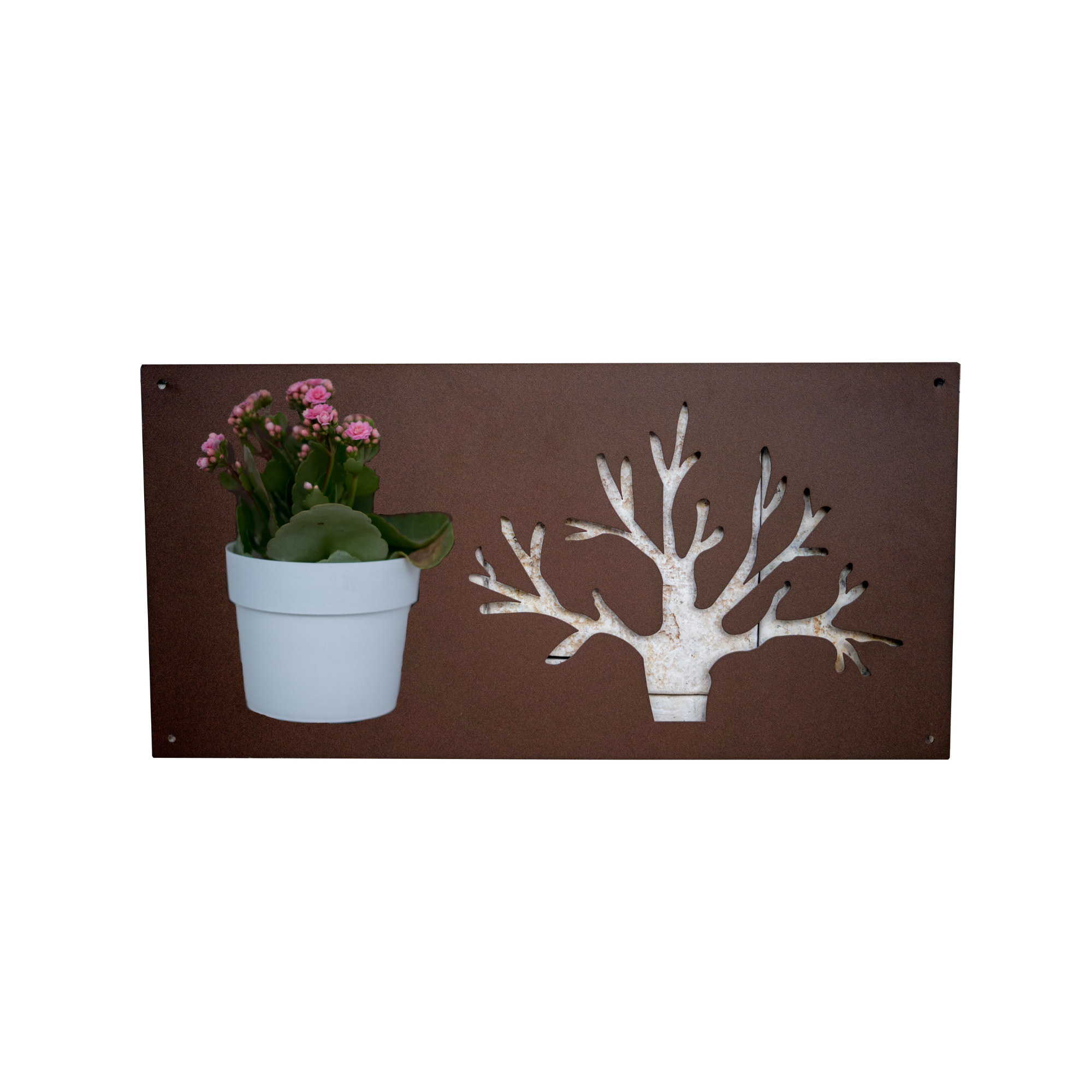 BAUM DECORAZIONE A PARETE