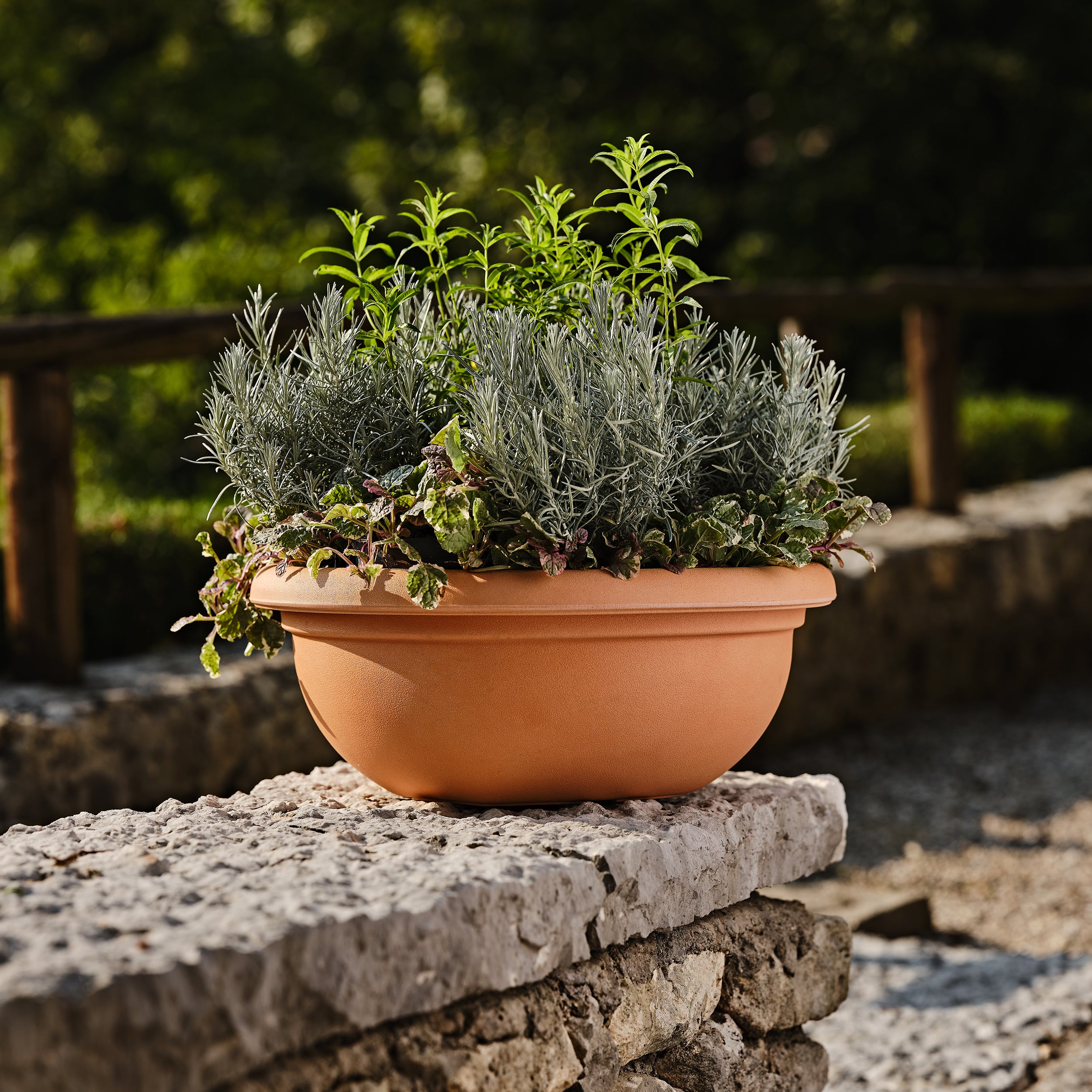 Tera Vaso in resina Circum