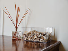 vasi per fiori trasparenti