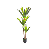 pianta artificiale dracena