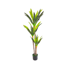 pianta artificiale dracena