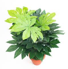 Pianta verde artificiale per interno Dieffenbachia, Filodendro, Palma, Aralia