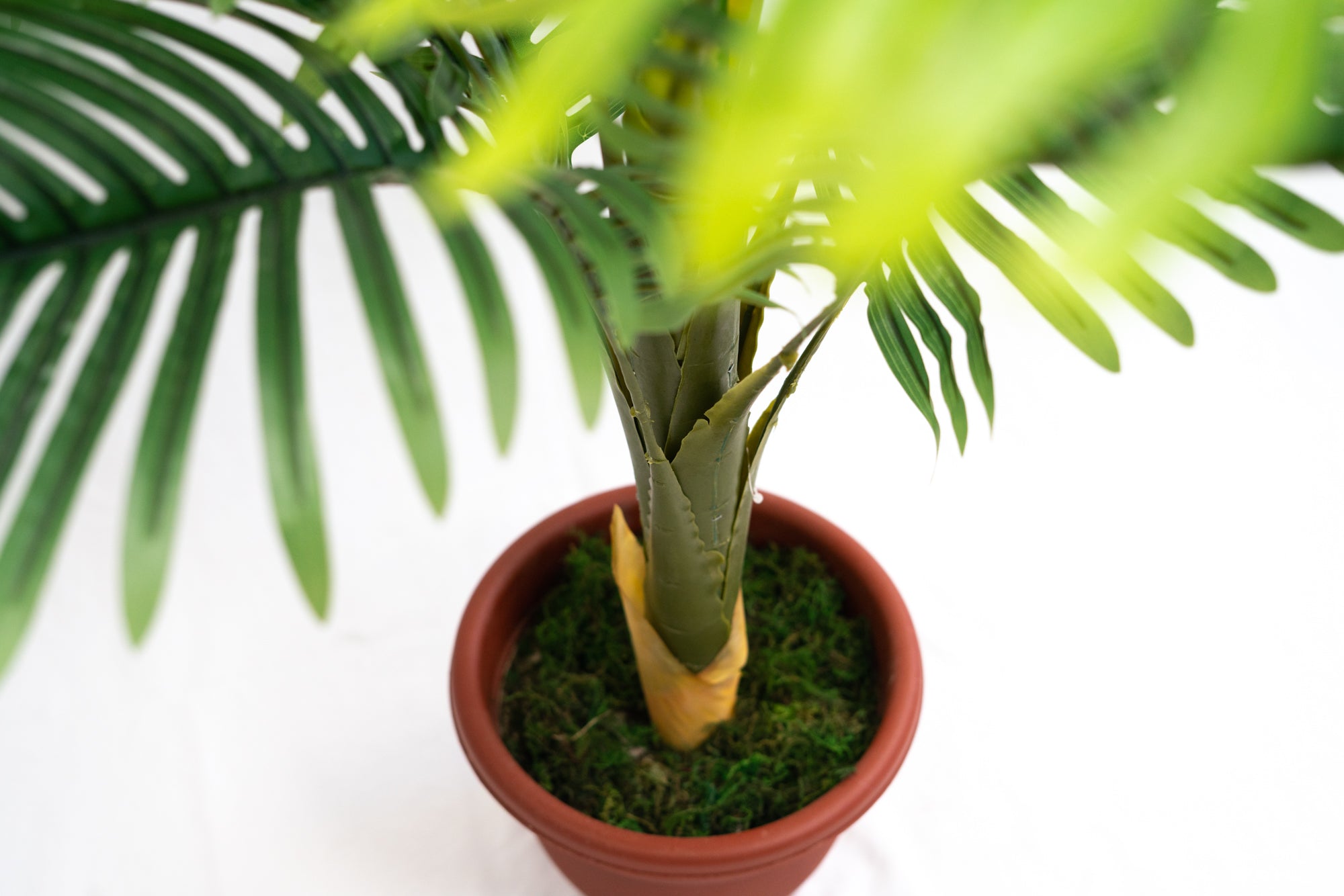 Pianta verde artificiale per interno Dieffenbachia, Filodendro, Palma, Aralia