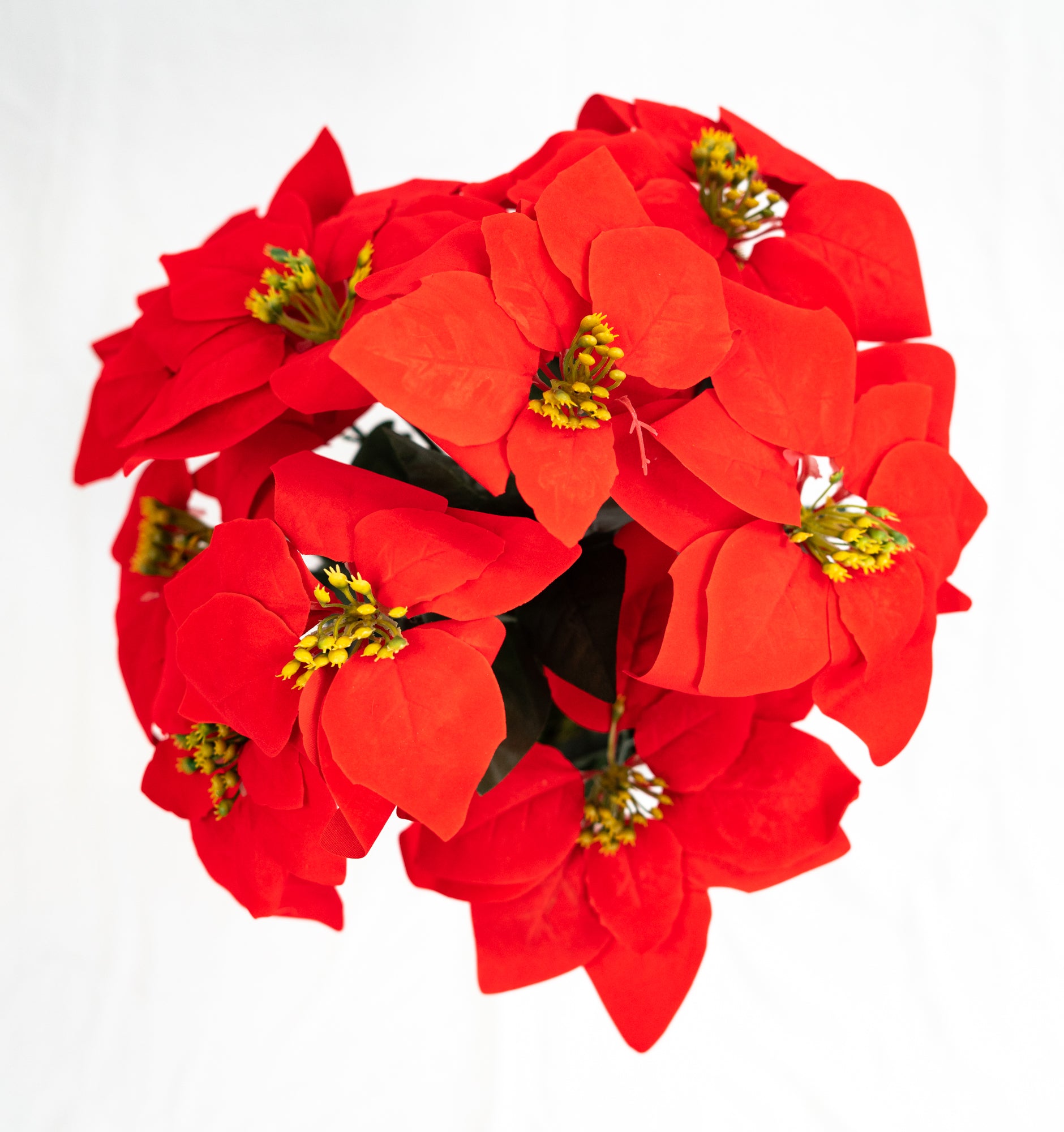 Pianta verde artificiale per interno Dieffenbachia, Filodendro, Palma, Aralia