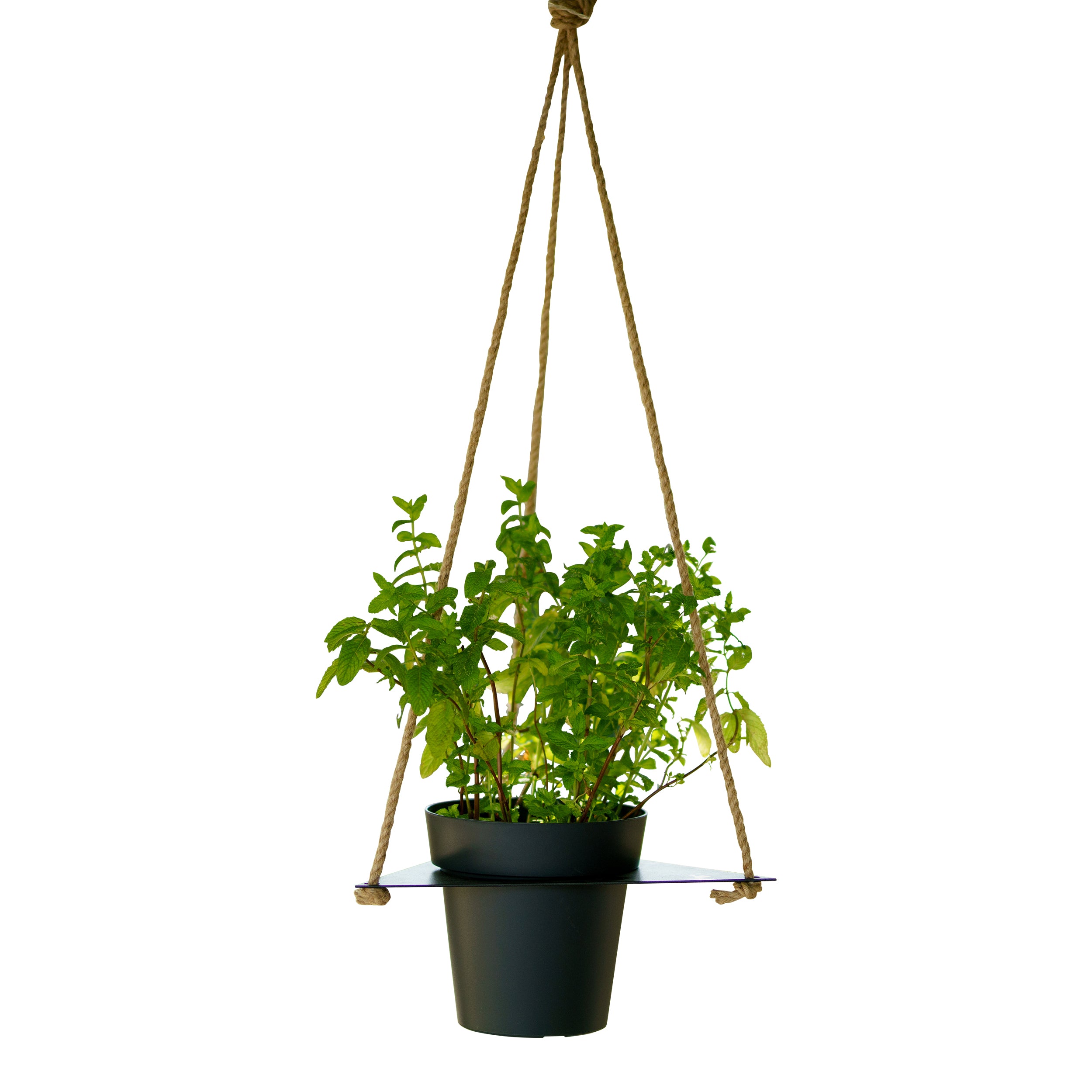 Tecnokit Porta vasi sospesi per aromatiche con vaso cm 16 incluso