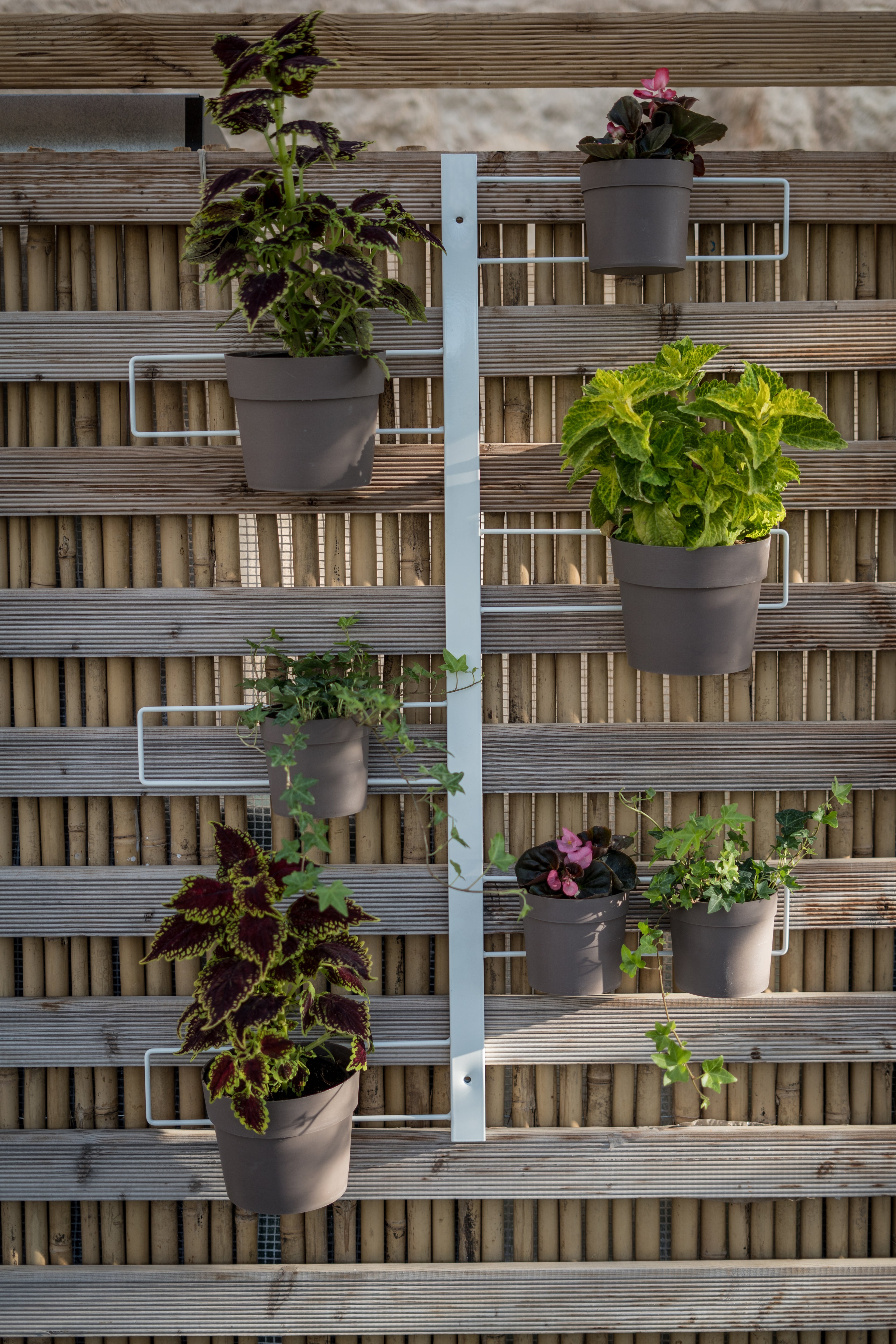 Tecnokit fioriera verticale Gemma cm 70x100 in acciaio, completa di 6 vasi pensili Comby diametro cm 14 e 6 vasi cm 10