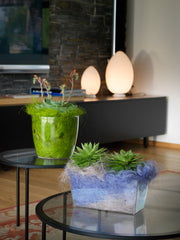 vasi per fiori trasparenti