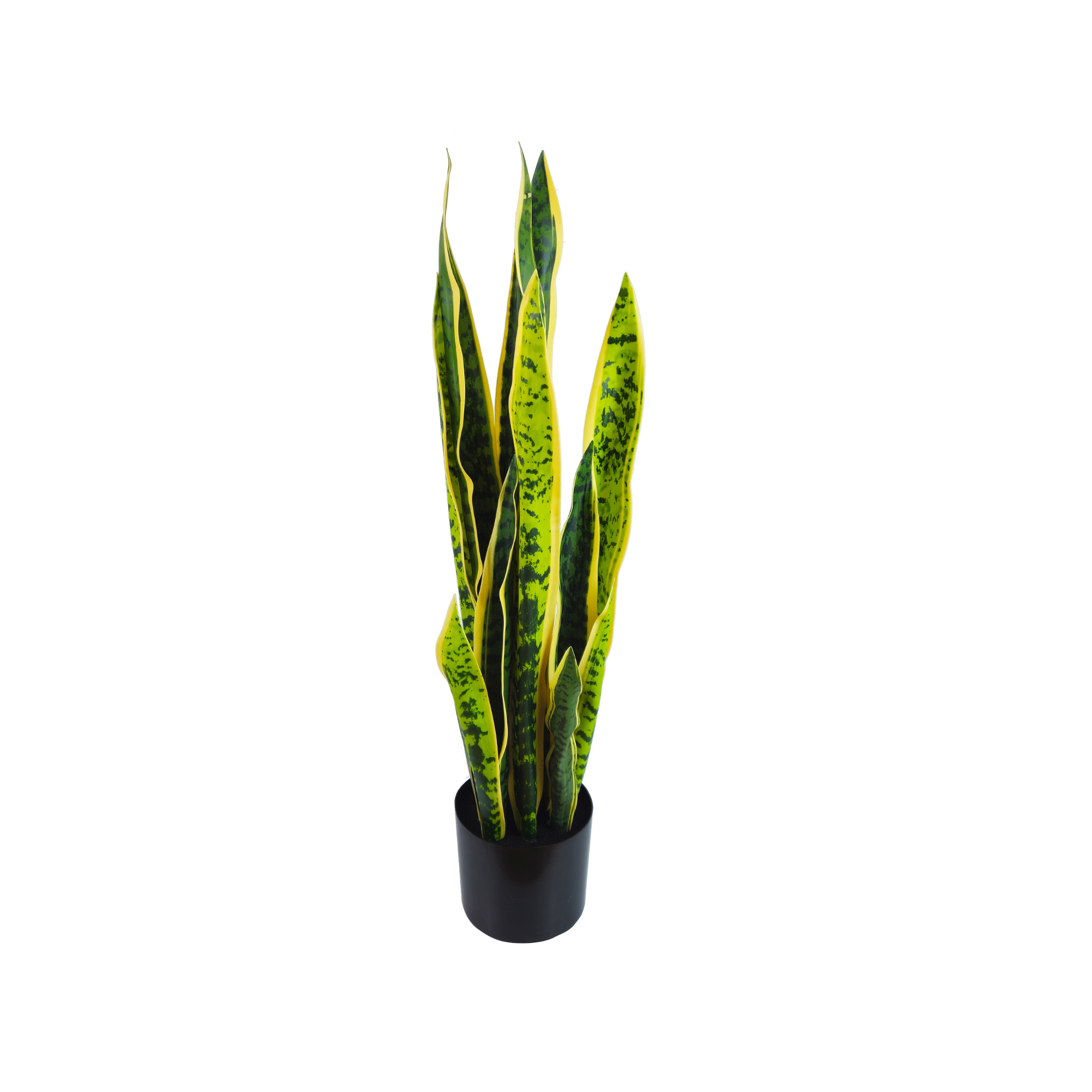 Pianta artificiale per interno Sanseveria cm 65 bicolor con vaso in ceramica