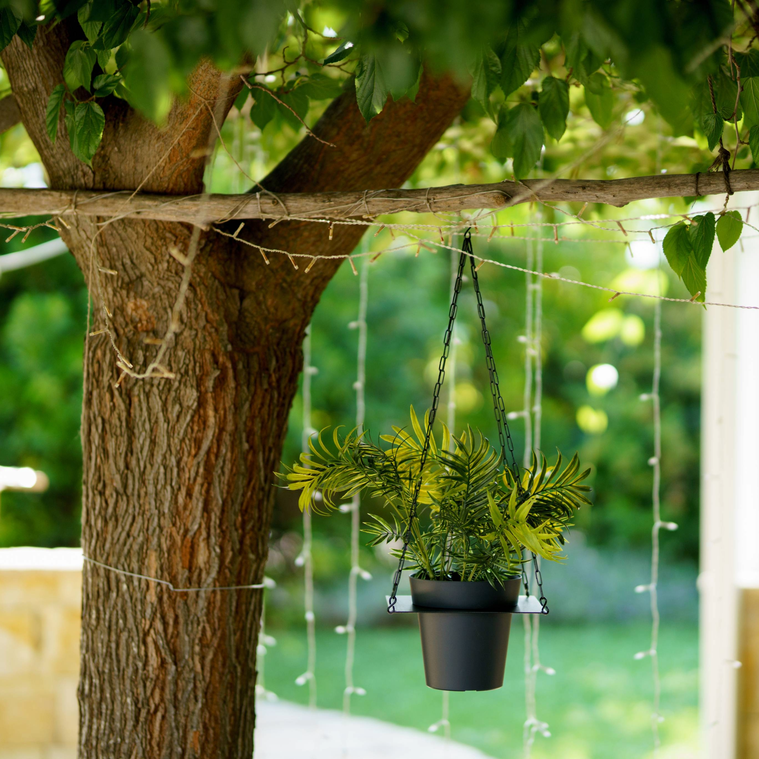 Tecnokit Porta vasi sospesi per aromatiche con vaso cm 16 incluso