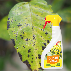 Altea olio di neem spray 500 ml