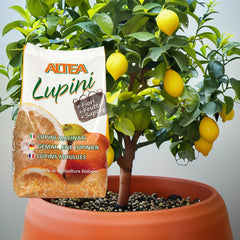 Altea concime lupini confezione da 1 kg