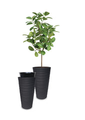 Plana Vaso Bora Alto Rotondo cm 40x75h