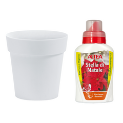 Bundle vaso Arke bianco e concime per stella di natale