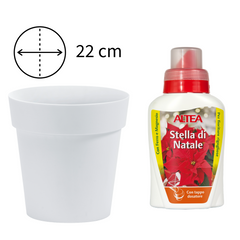 Bundle vaso Arke bianco e concime per stella di natale