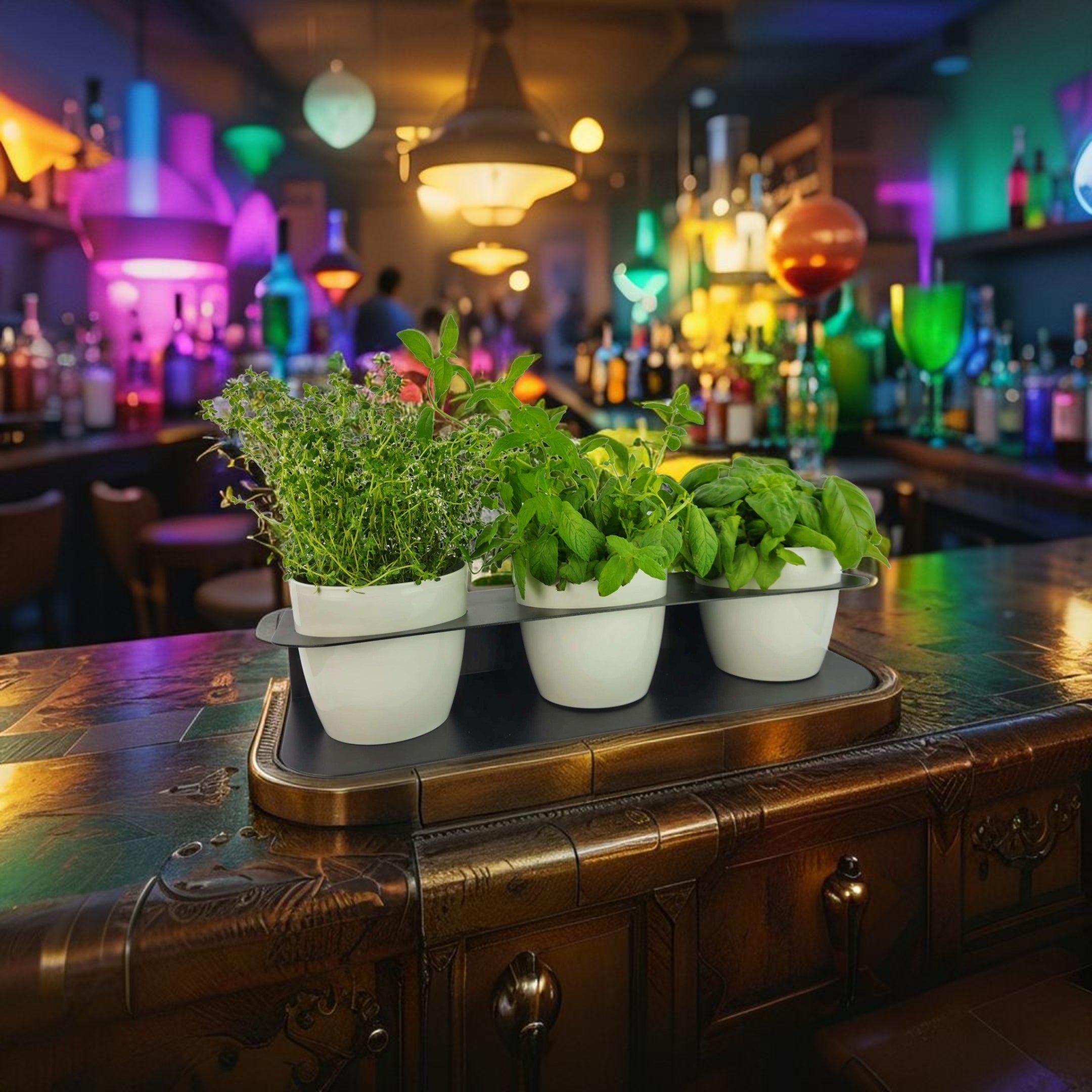 Porta piante aromatiche in metallo cm 58x18x10 da bancone e muro vasi inclusi