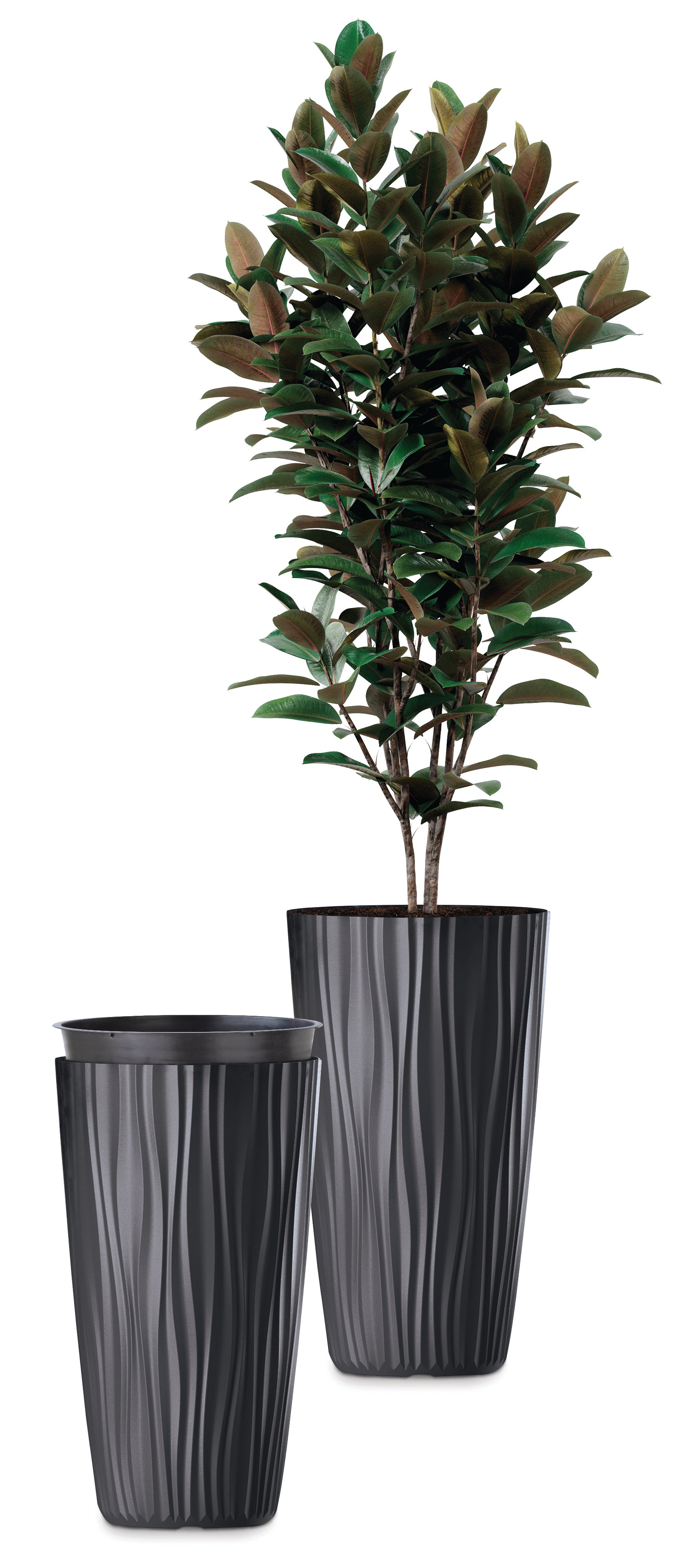 Plana Vaso Sahara High 35x60h