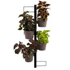 IRIS Fioriera a parete Completa Di 6 Vasi Pensili Comby Diametro Cm 14