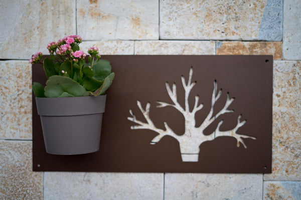 BAUM