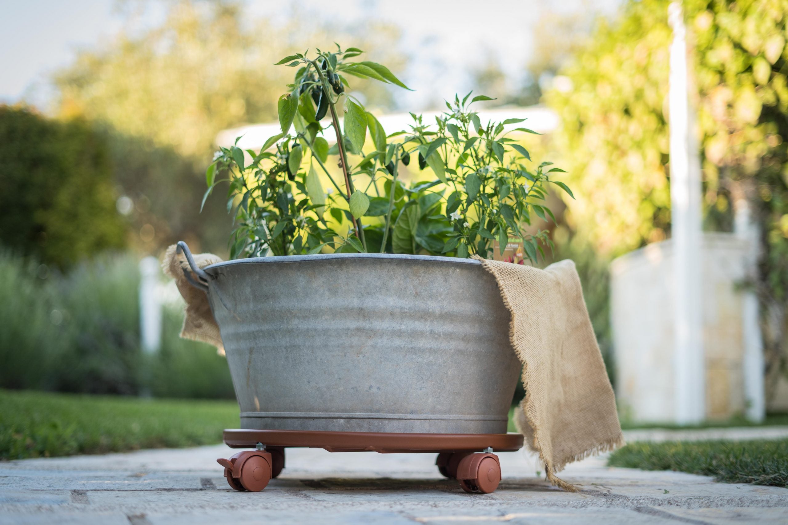 carrelli per trasporto vasi
