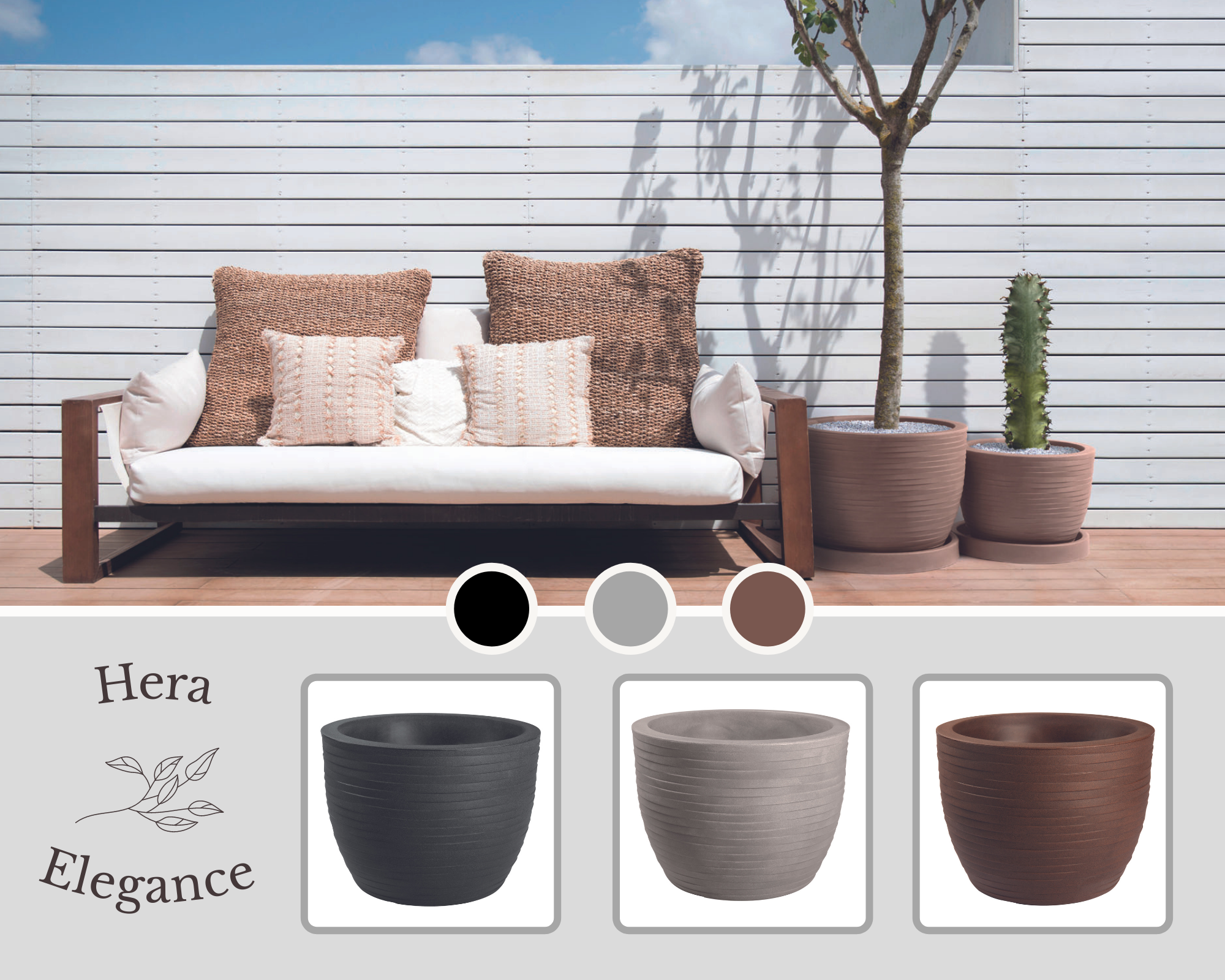 Hera Elegance generica