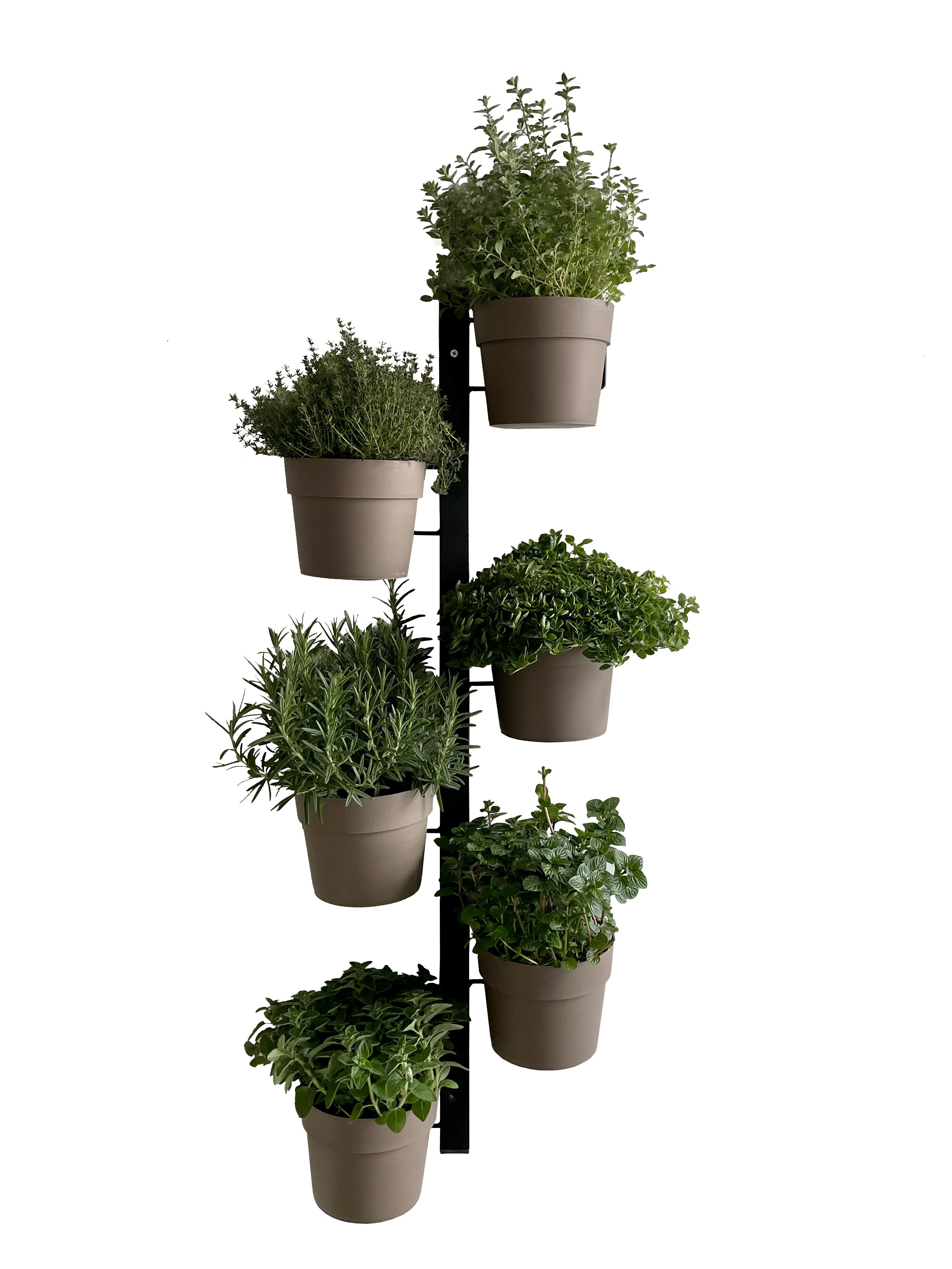 FIORIERA A PARETE IRIS - Tecnokitstore