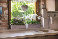 minos cassetta_S_Amb