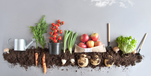 Orto sul balcone o sul terrazzo?