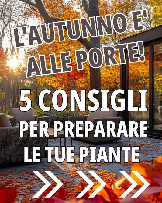 Autunno in Giardino: 5 Gesti Essenziali per Proteggere le Tue Piante in Vaso in Italia
