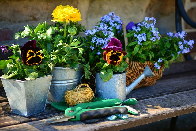 giardino