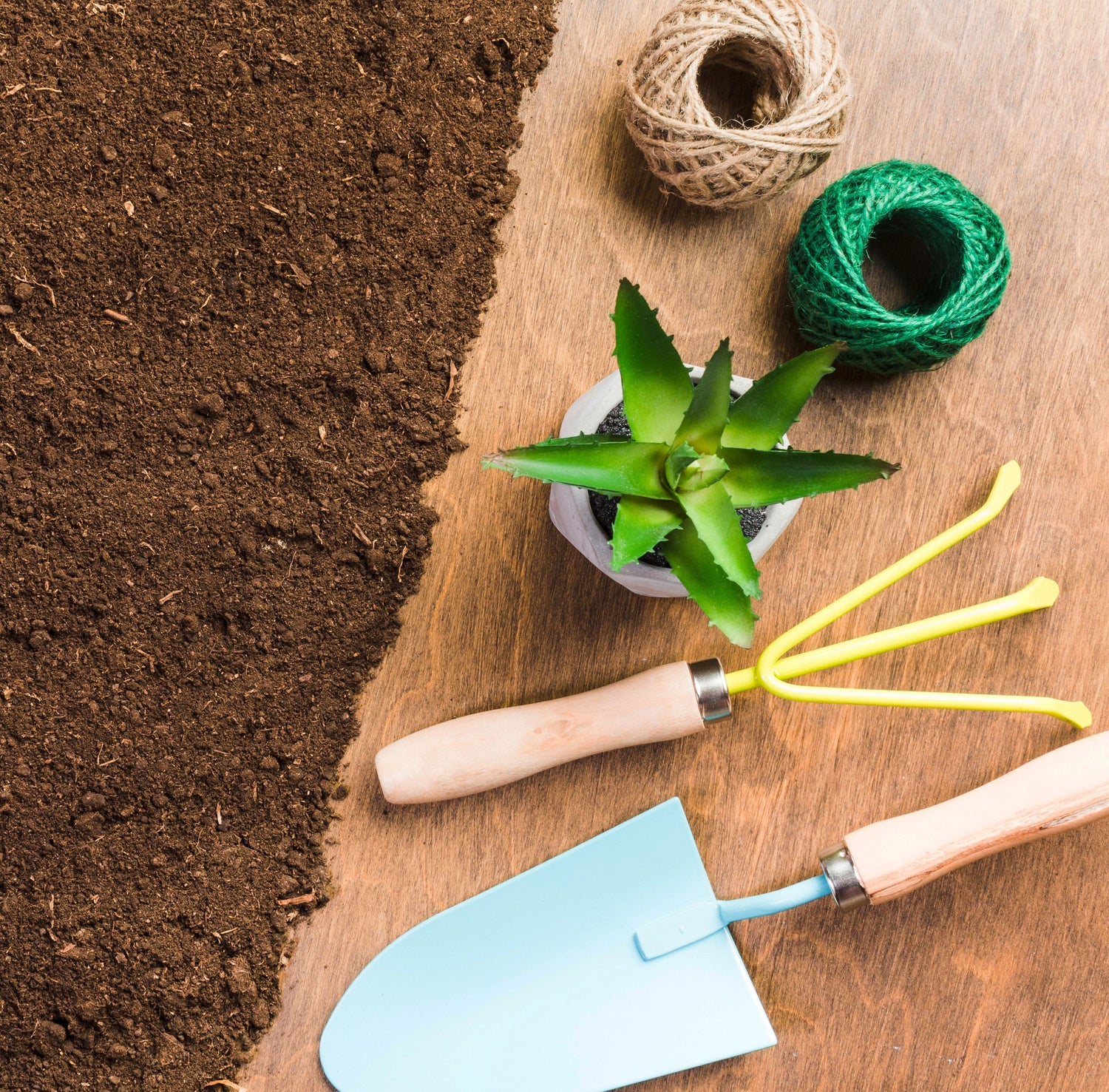 Concimi e cura del terreno